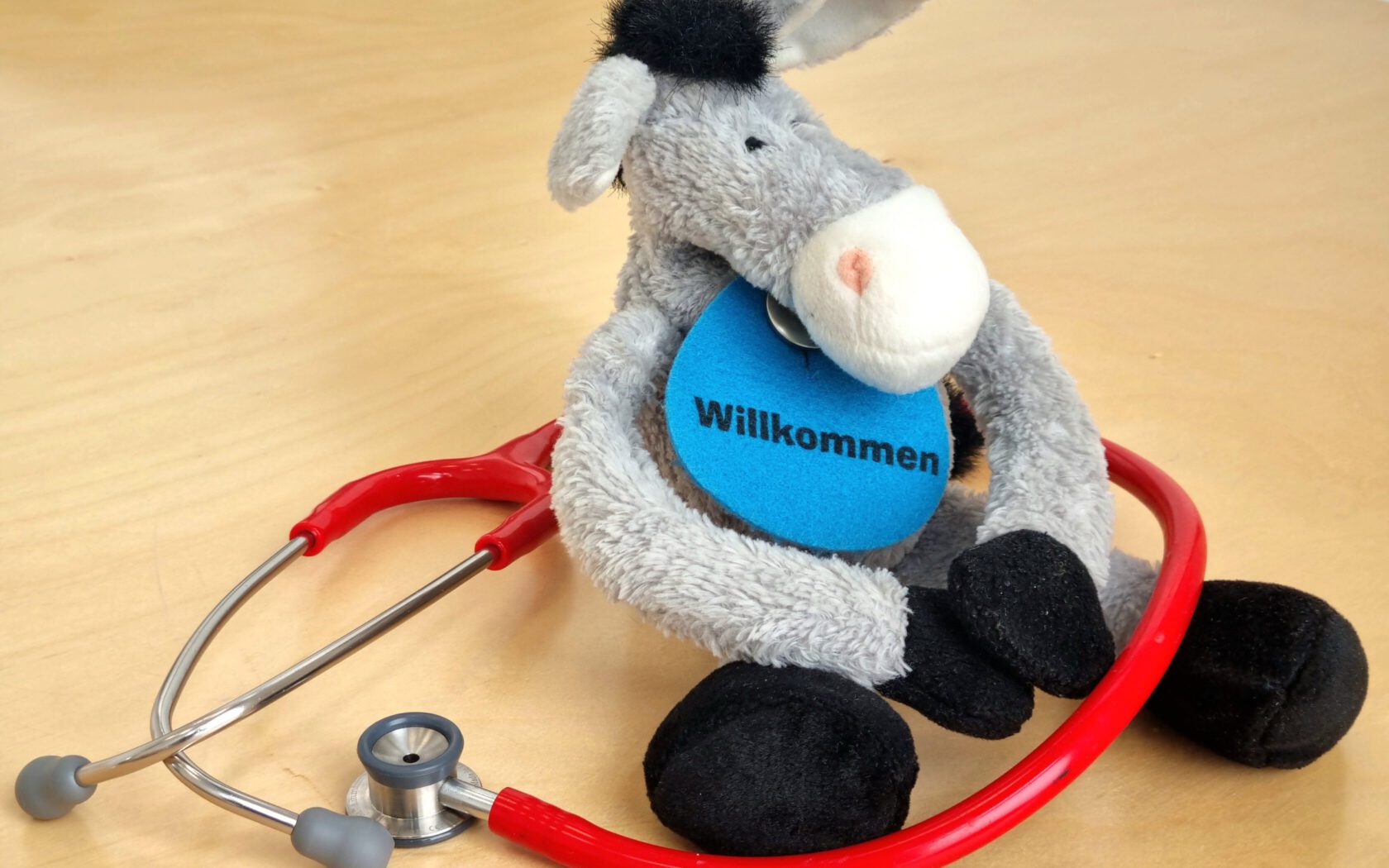 Kuscheltier mit Willkommen-Schild und Stethoskop für Säuglinge